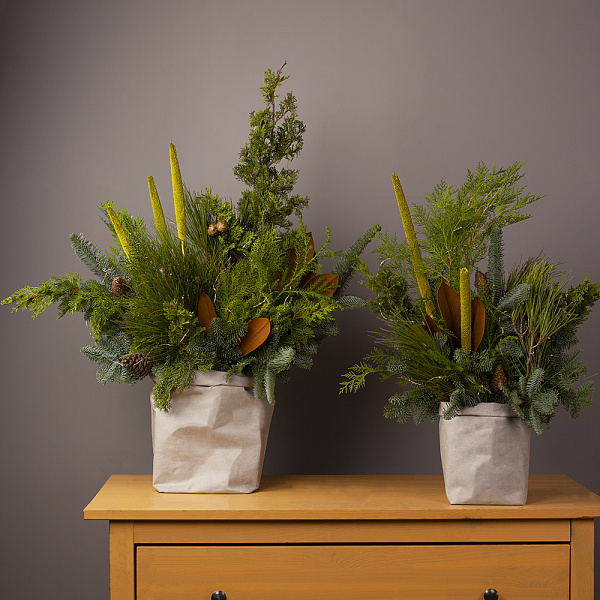 Купить Композиция «Вместо ёлки» (L) в  с бесплатной доставкой: цена, фото, описание